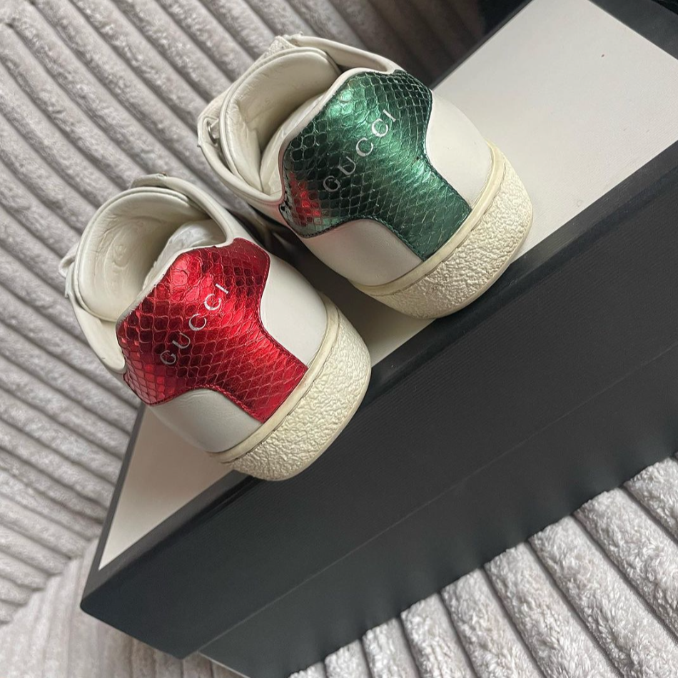 Gucci sneaks