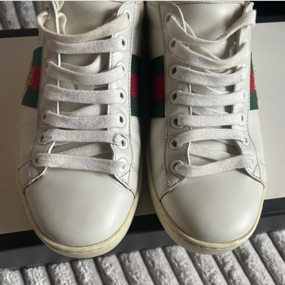 Gucci sneaks