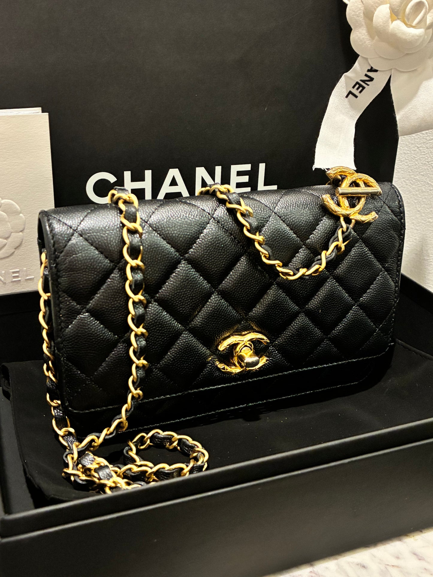 Chanel Wallet on Chain - Black Caviar & Gold Hardware - 23B 2023 - FULL SET!