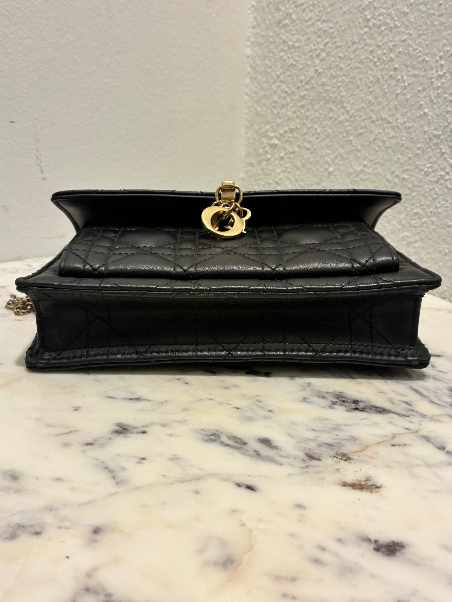 Christian Dior Bag- My Dior Daily Pouch