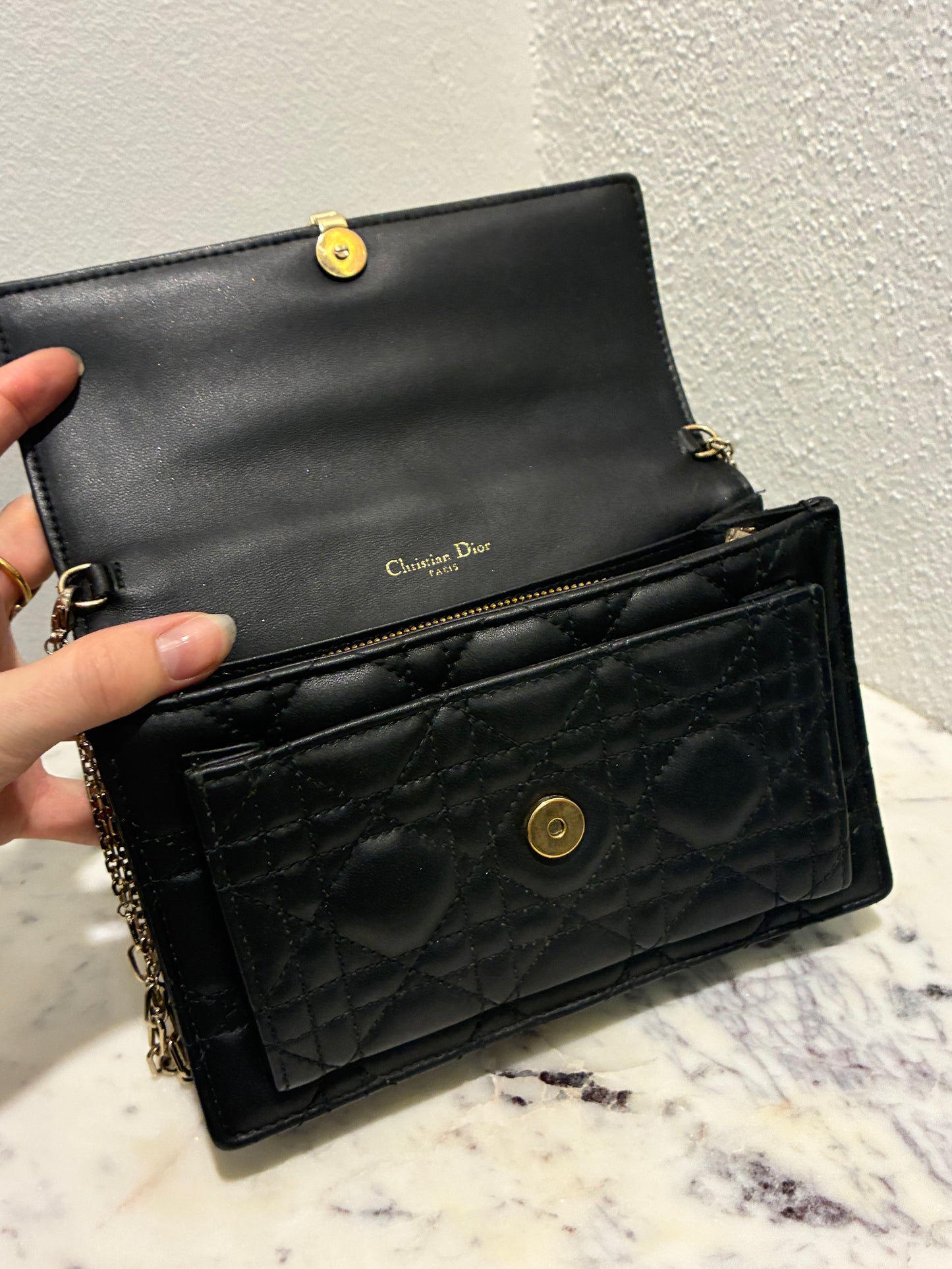 Christian Dior Bag- My Dior Daily Pouch