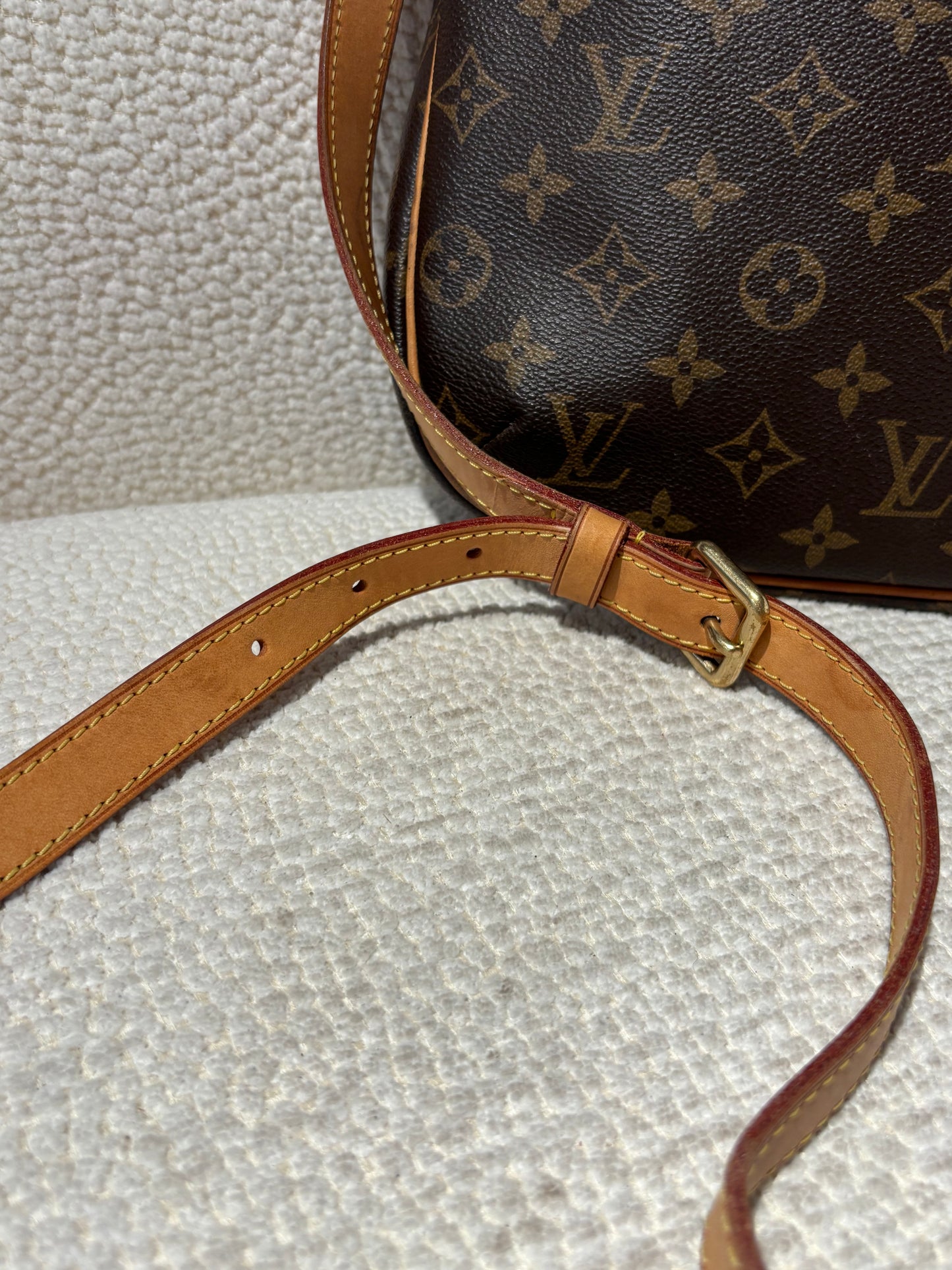 Louis Vuitton Odeon PM Bag – Monogram Canvas with Crossbody Strap