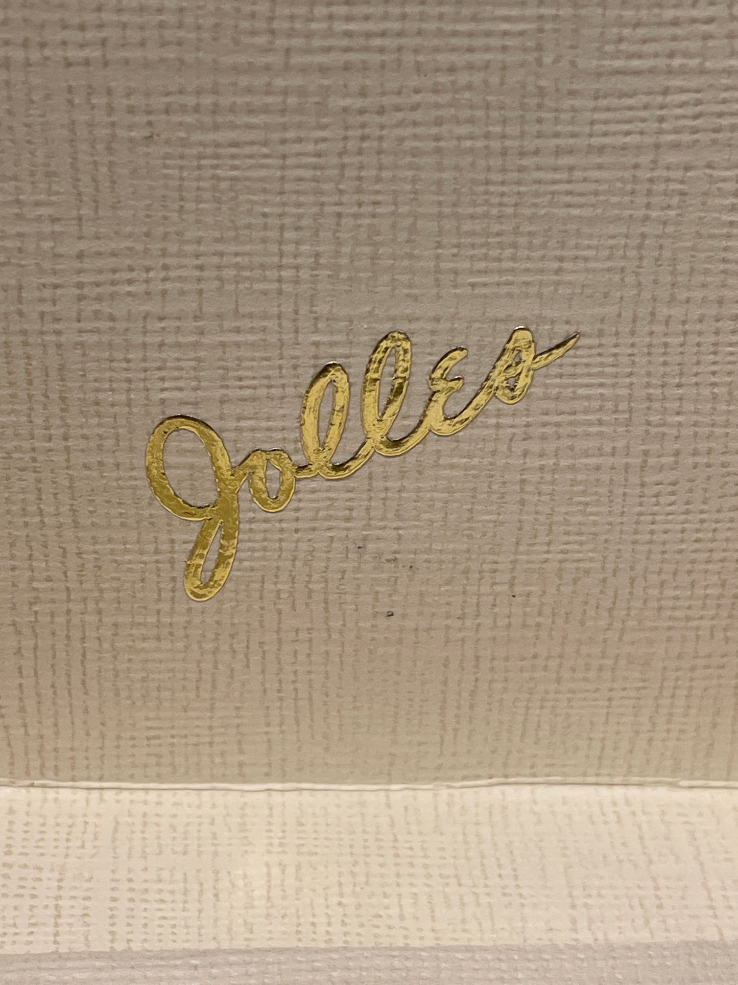 Antique J. Jolles Studios Vienna Petit Point Evening Bag – Complete with Original Box