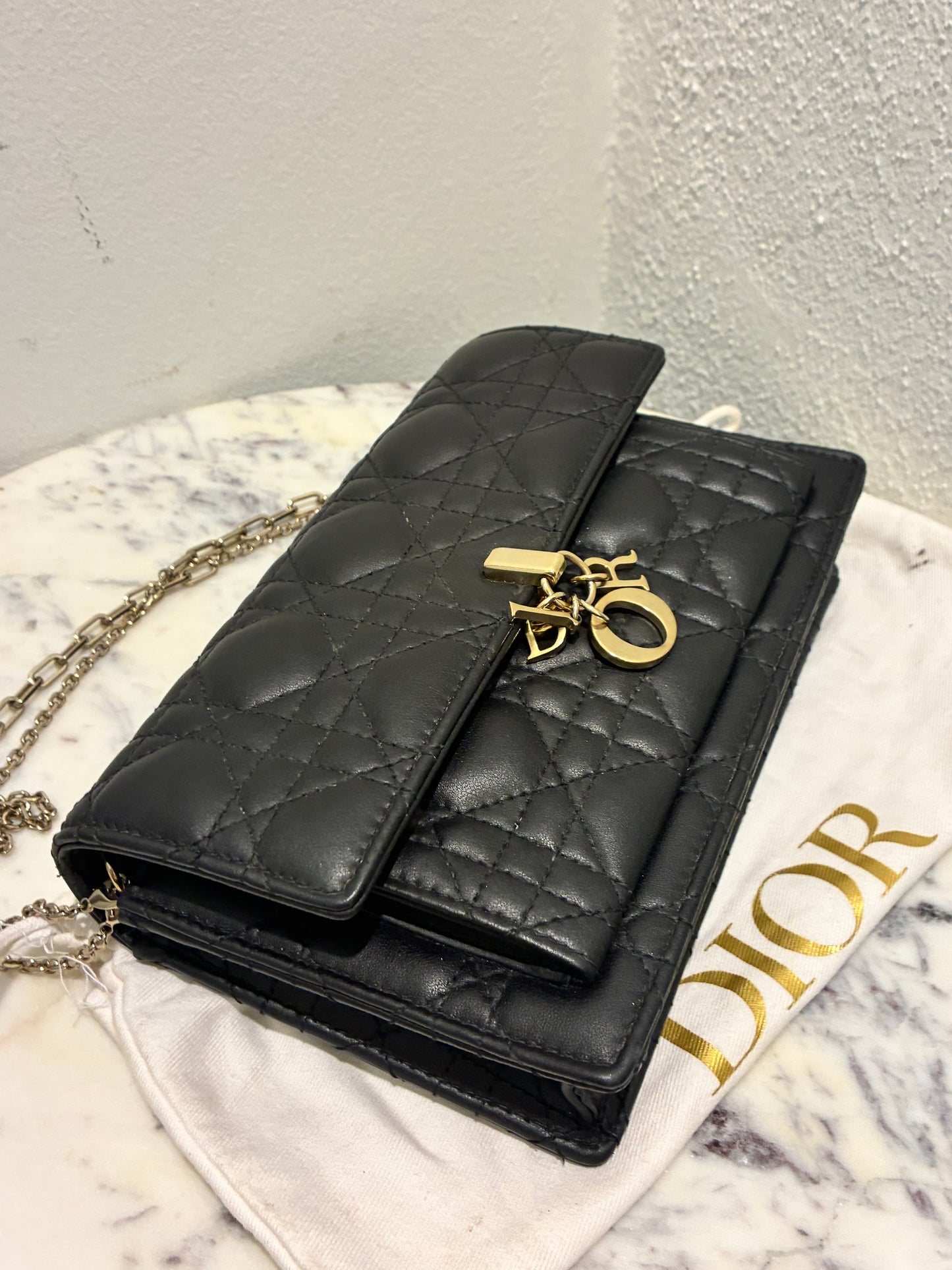 Christian Dior Bag- My Dior Daily Pouch