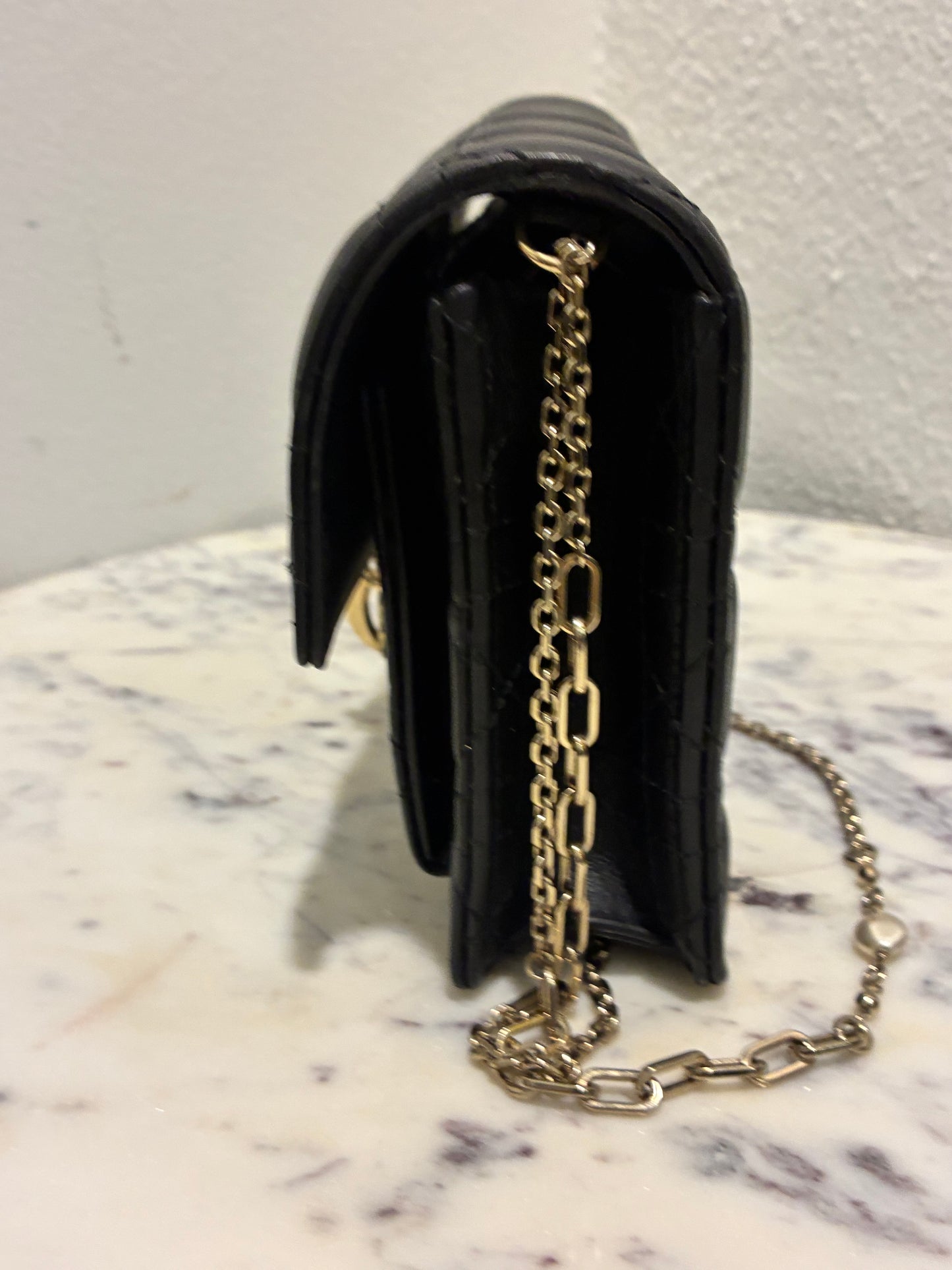 Christian Dior Bag- My Dior Daily Pouch