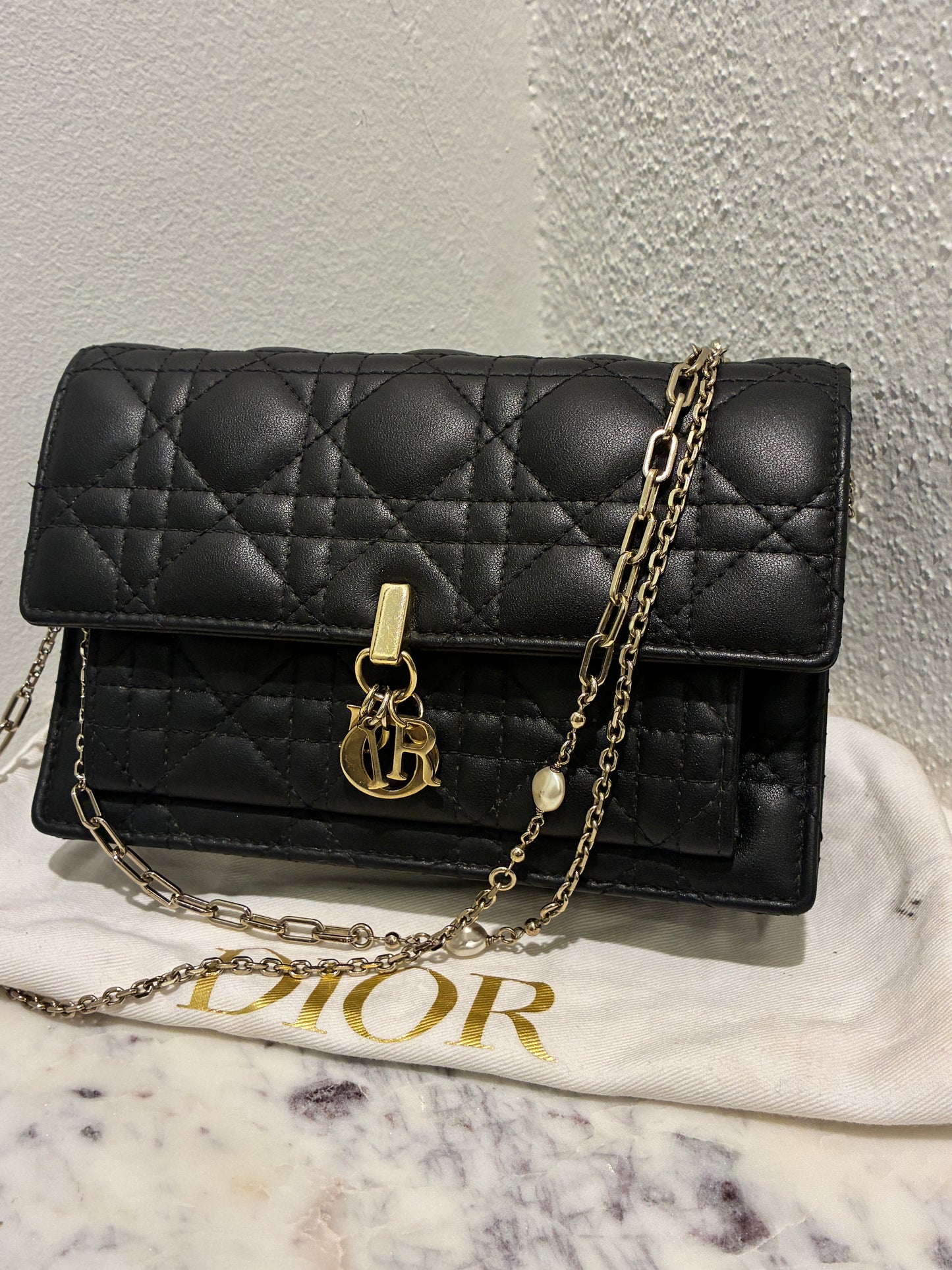 Christian Dior Bag- My Dior Daily Pouch