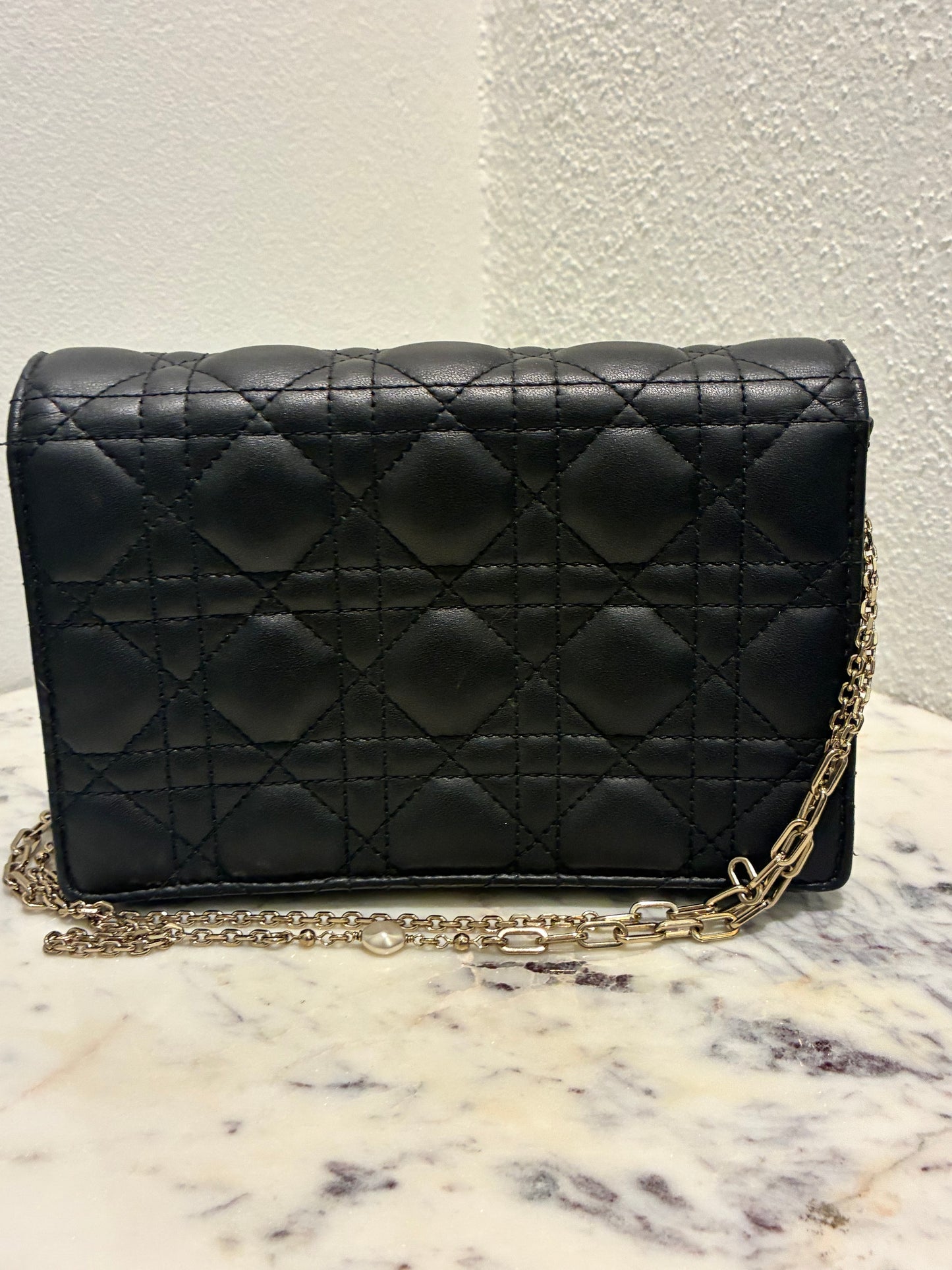 Christian Dior Bag- My Dior Daily Pouch