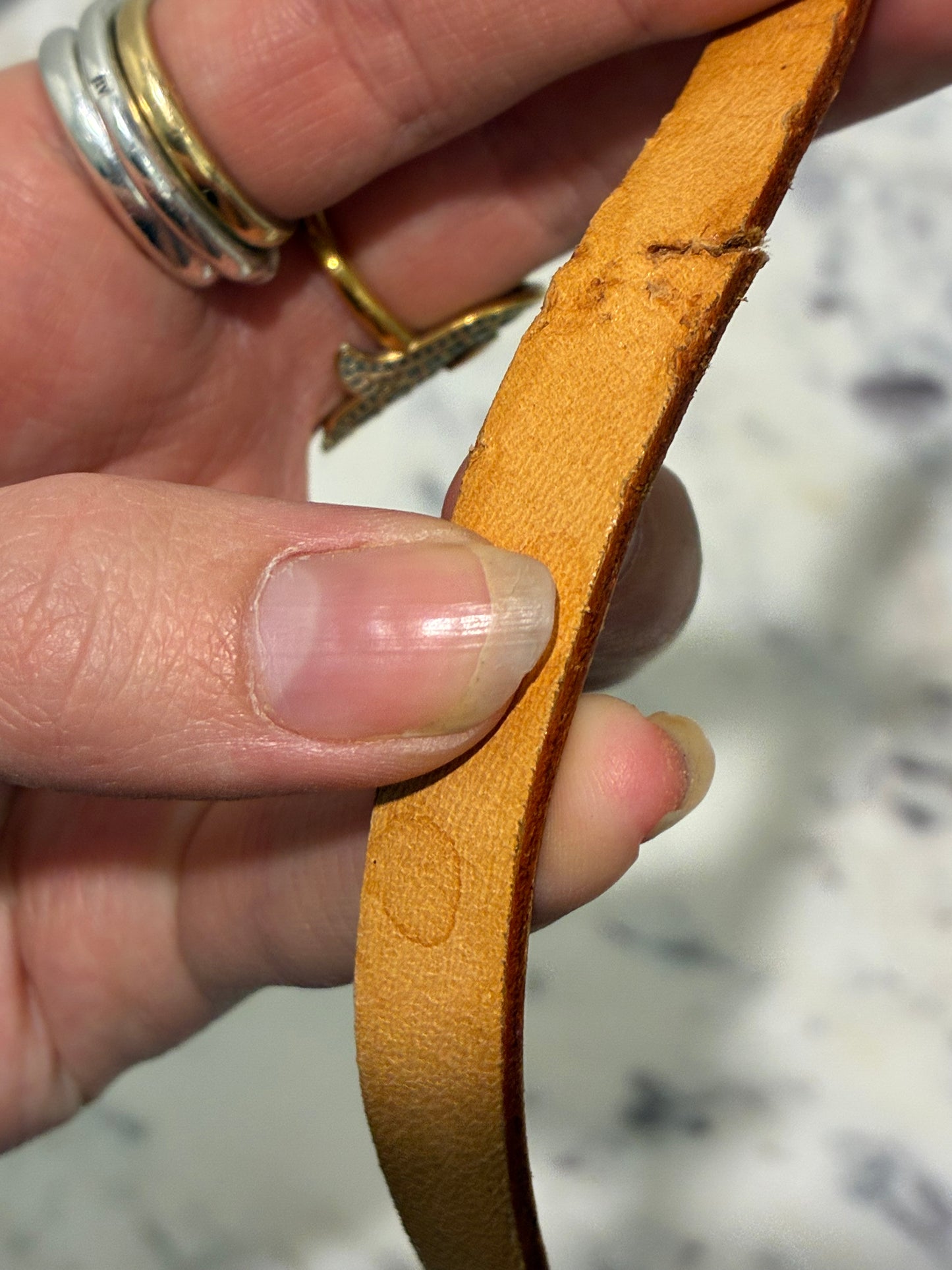 Louis Vuitton Beltbag - Monogram & Vanetta Leather