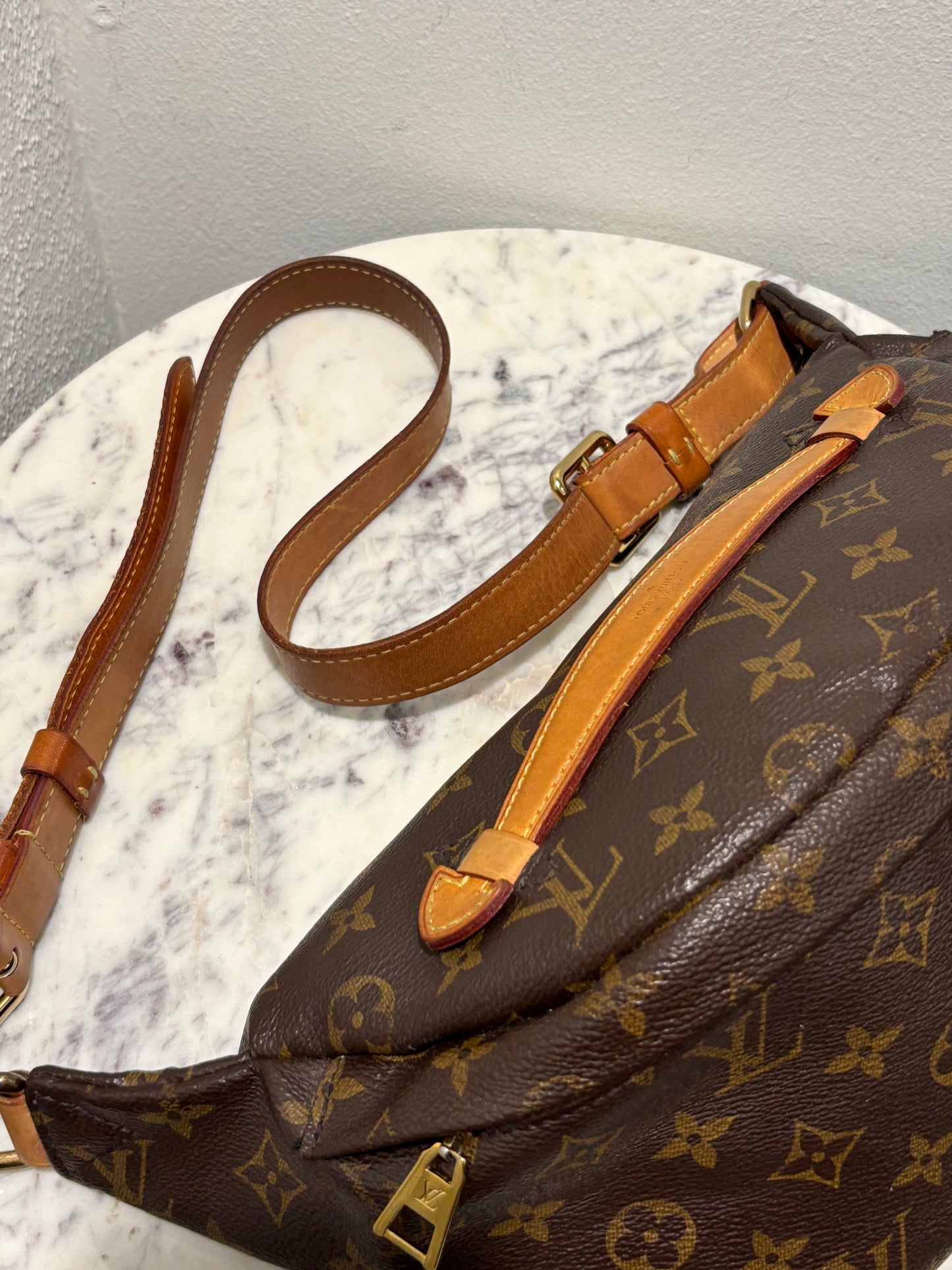 Louis Vuitton Bumbag - Monogram Leather