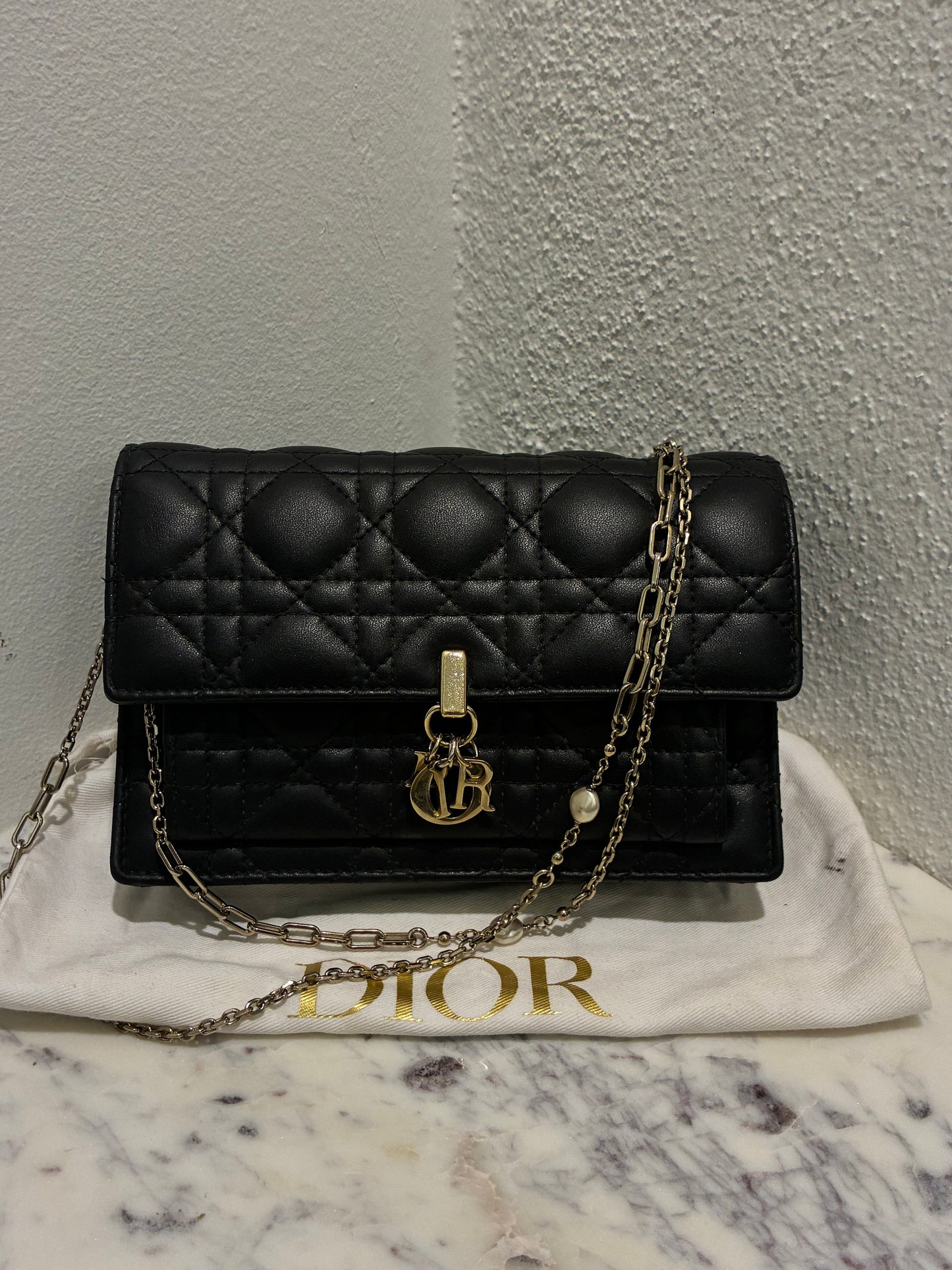 Christian Dior Bag- My Dior Daily Pouch