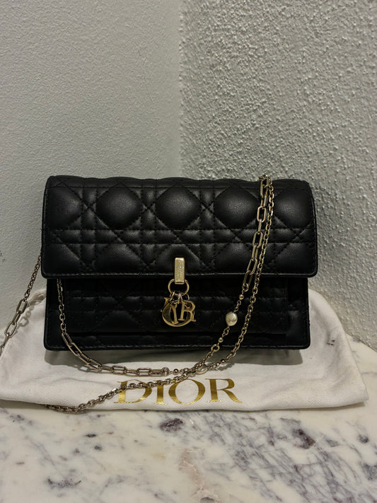 Christian Dior Bag- My Dior Daily Pouch