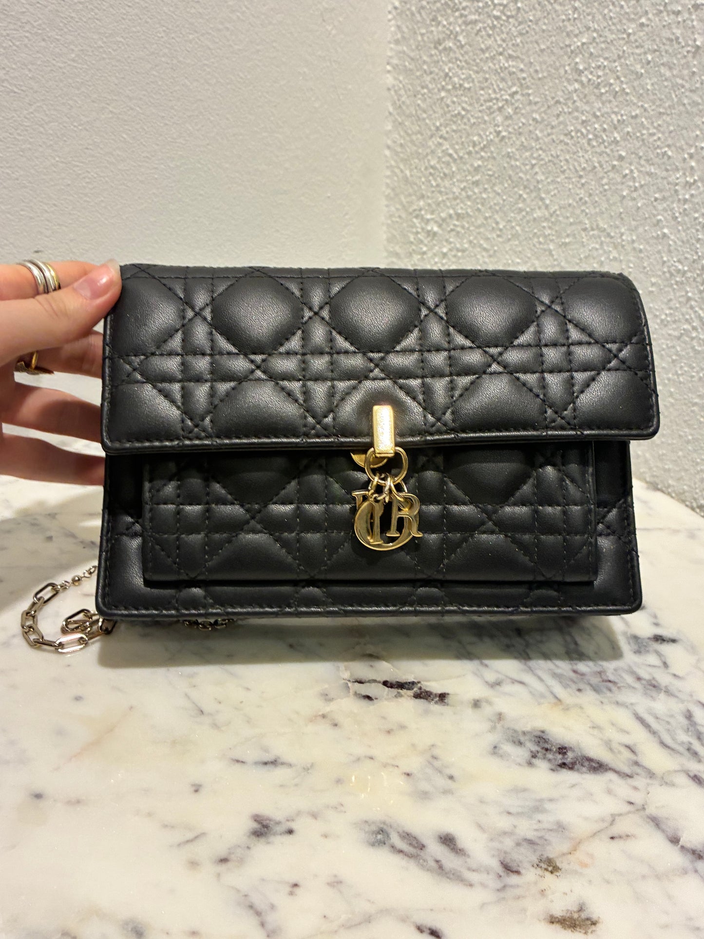 Christian Dior Bag- My Dior Daily Pouch