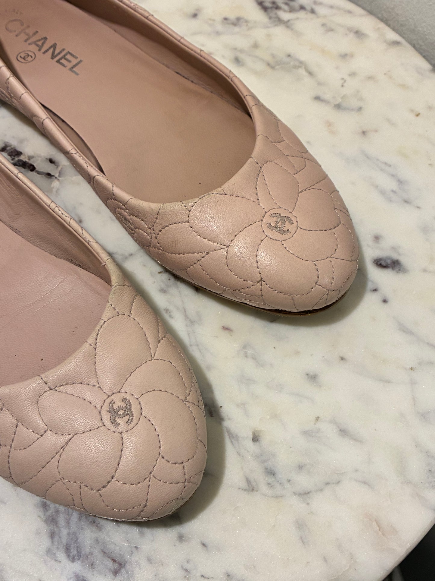 Chanel Ballerina Flats – Blush Leather with Camelia Print & Logos – EU 40.5